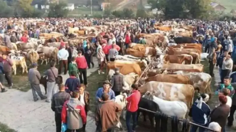 închiderea târgurilor de animale